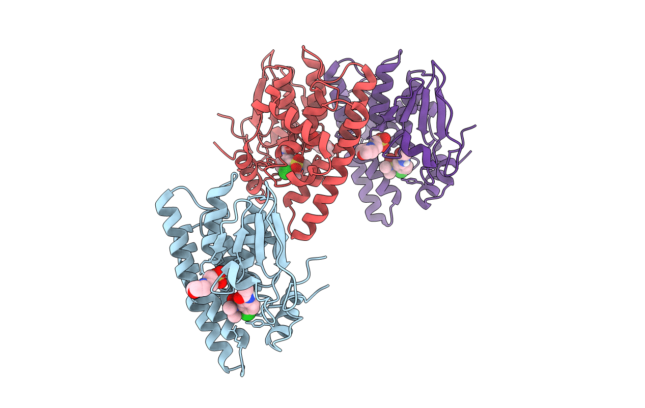 4YQM image