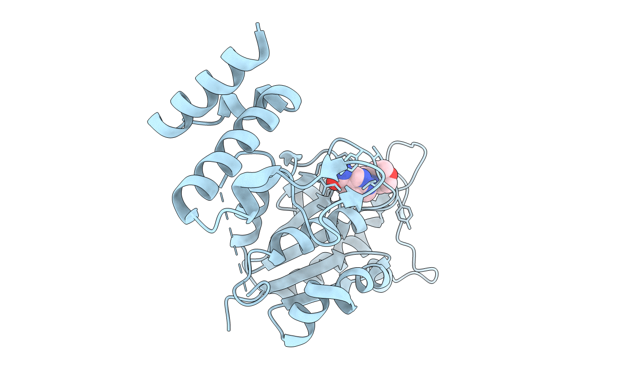4YQP image