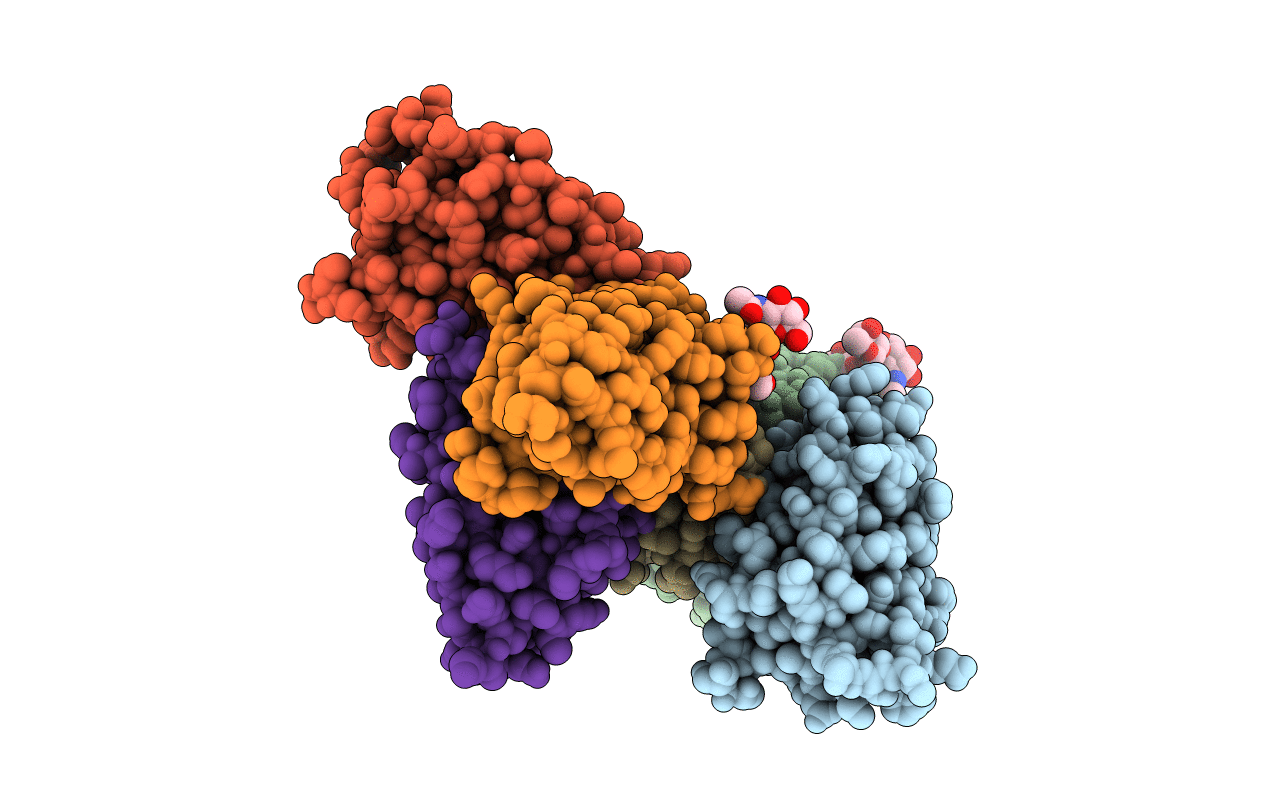 4YQX image