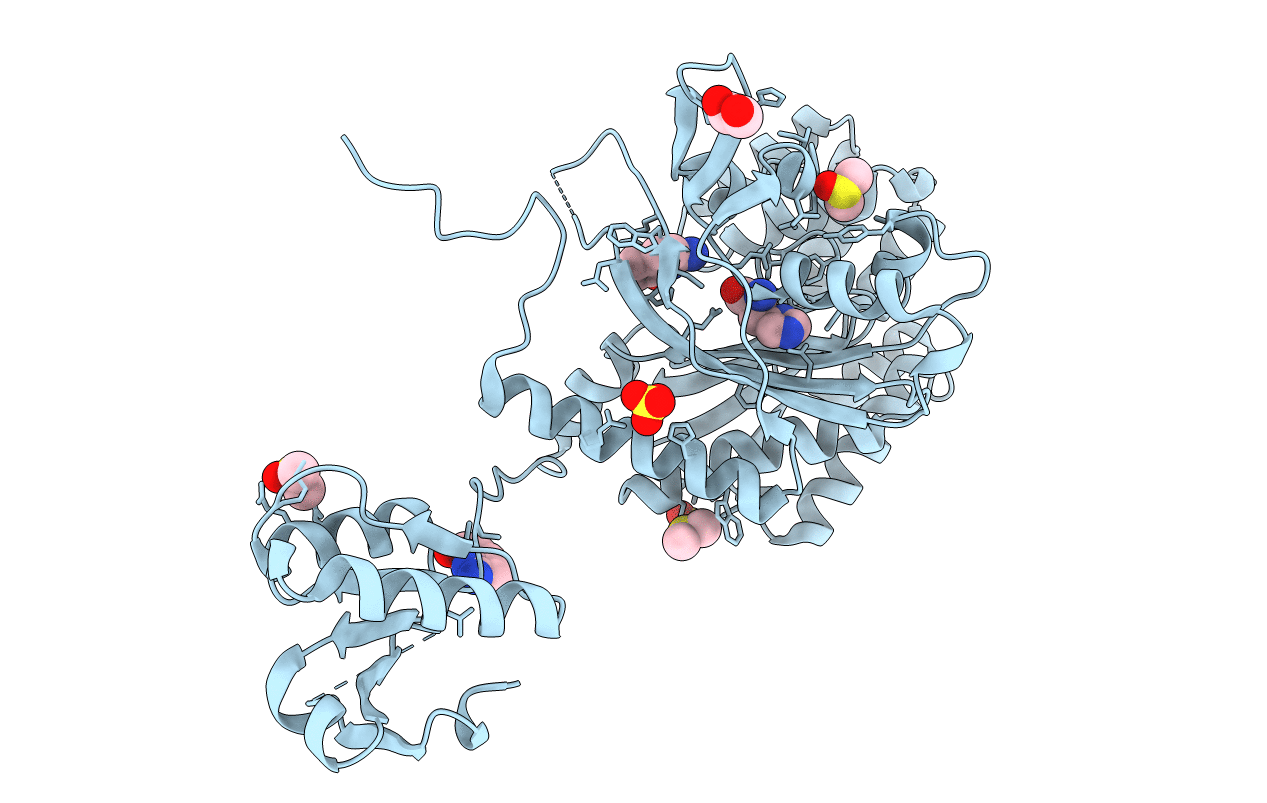 4YRC image