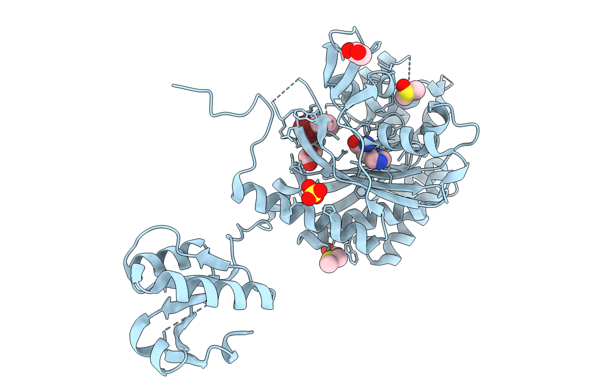 4YRI image