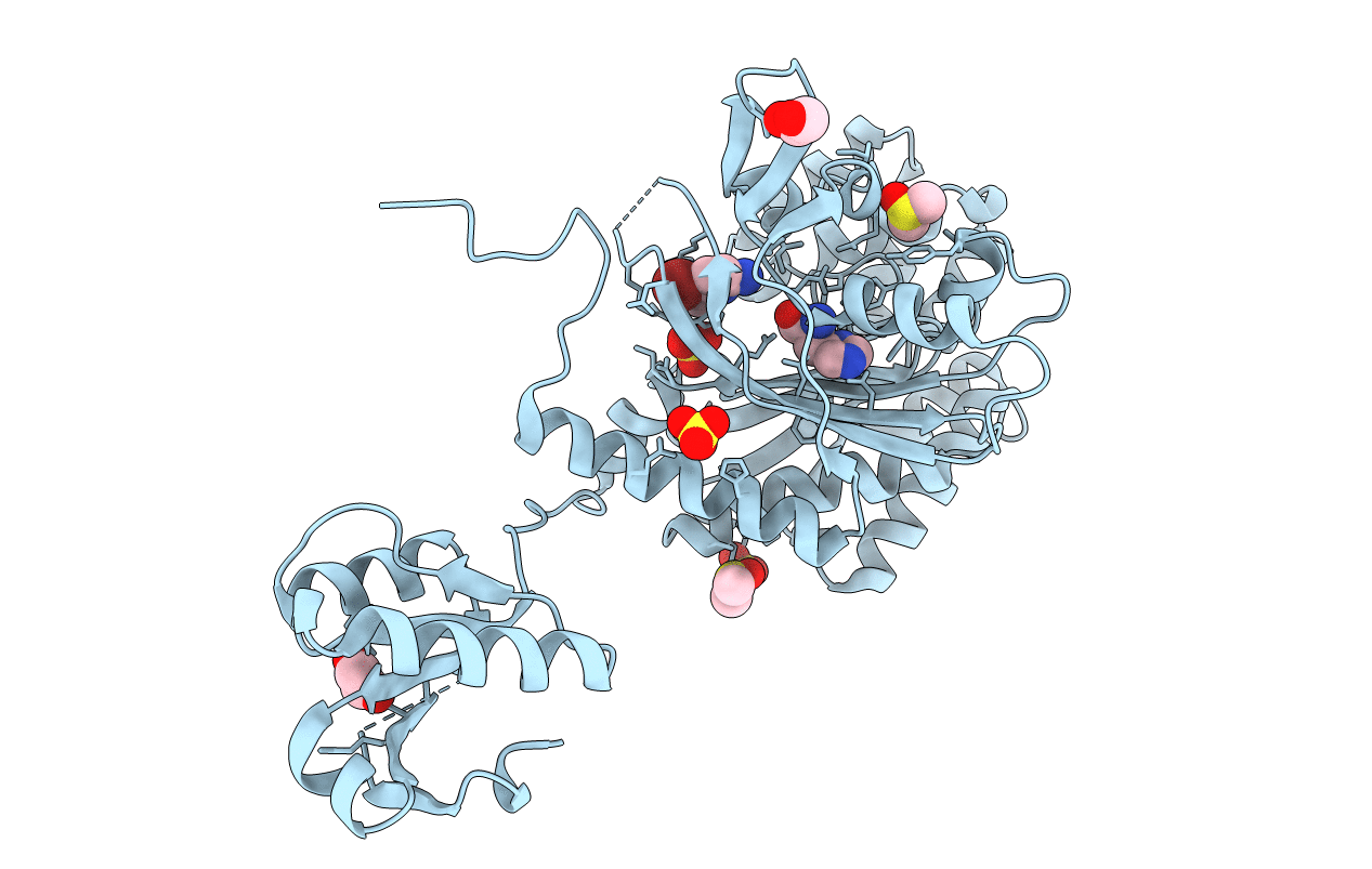 4YRO image