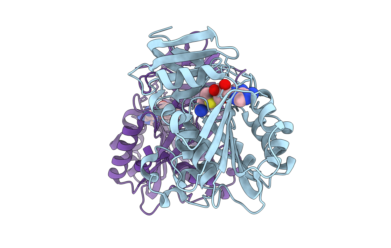 4YUV image
