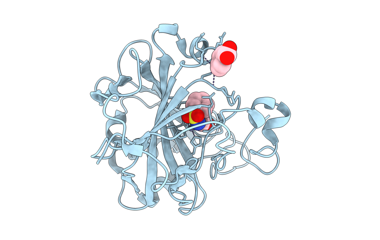 4YX4 image