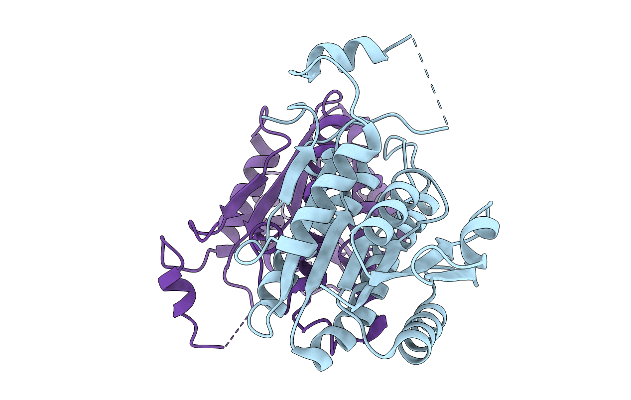 4YXF image