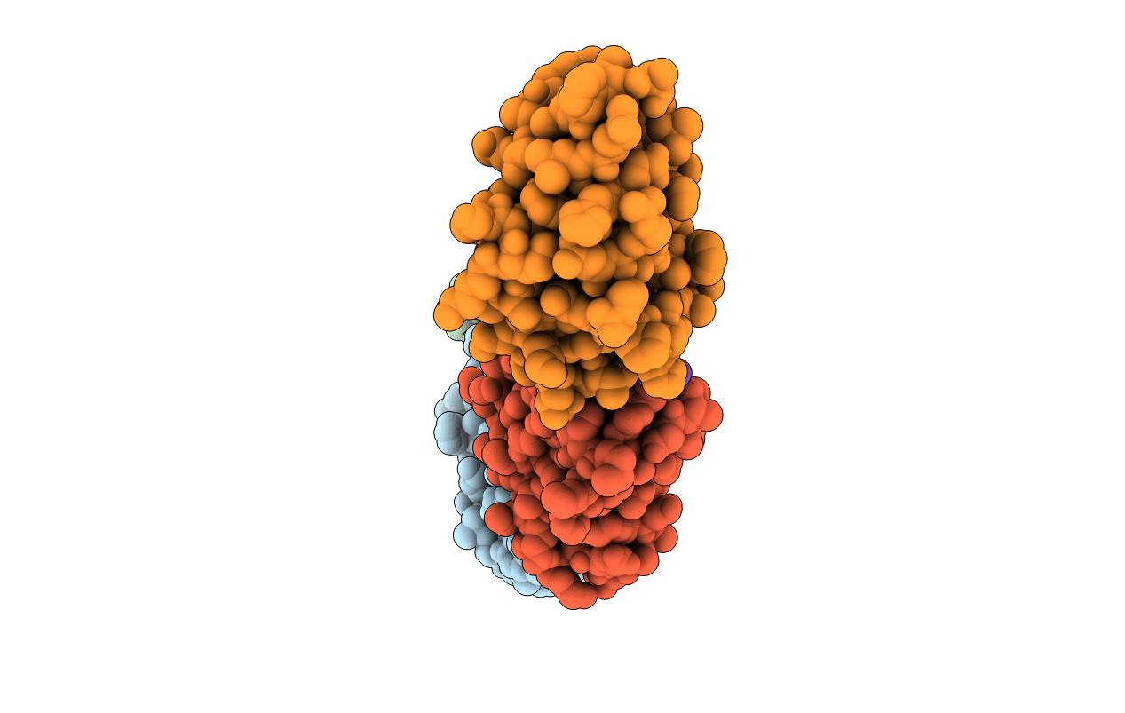 4YYI image