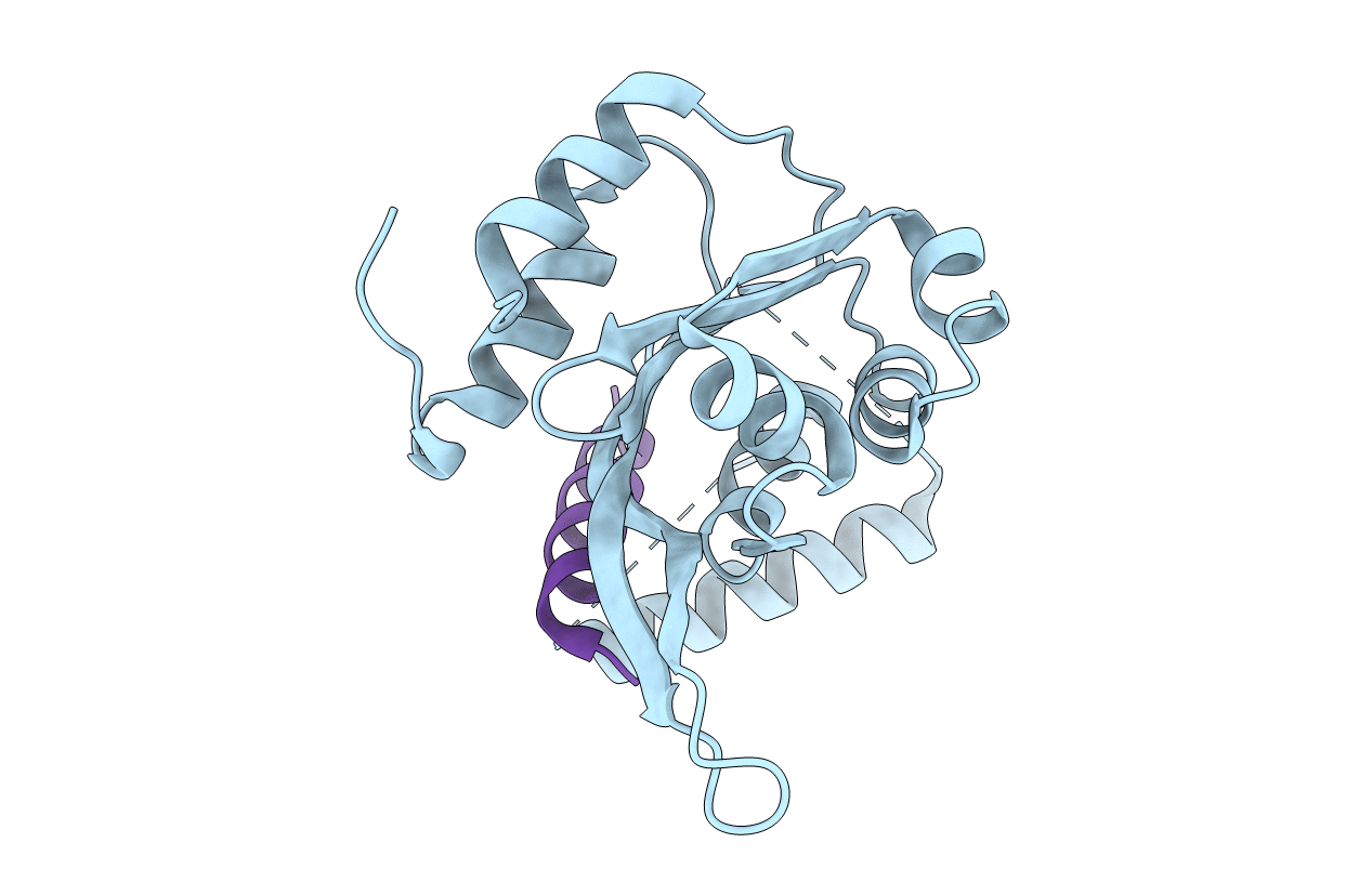 4YZ6 image