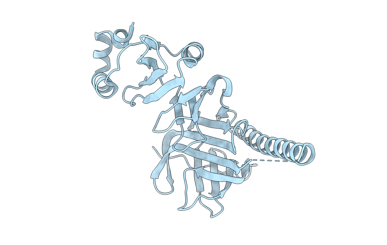 4Z2N image