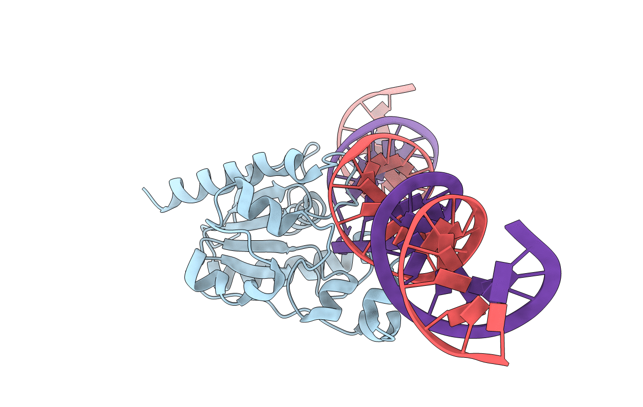 4Z3A image