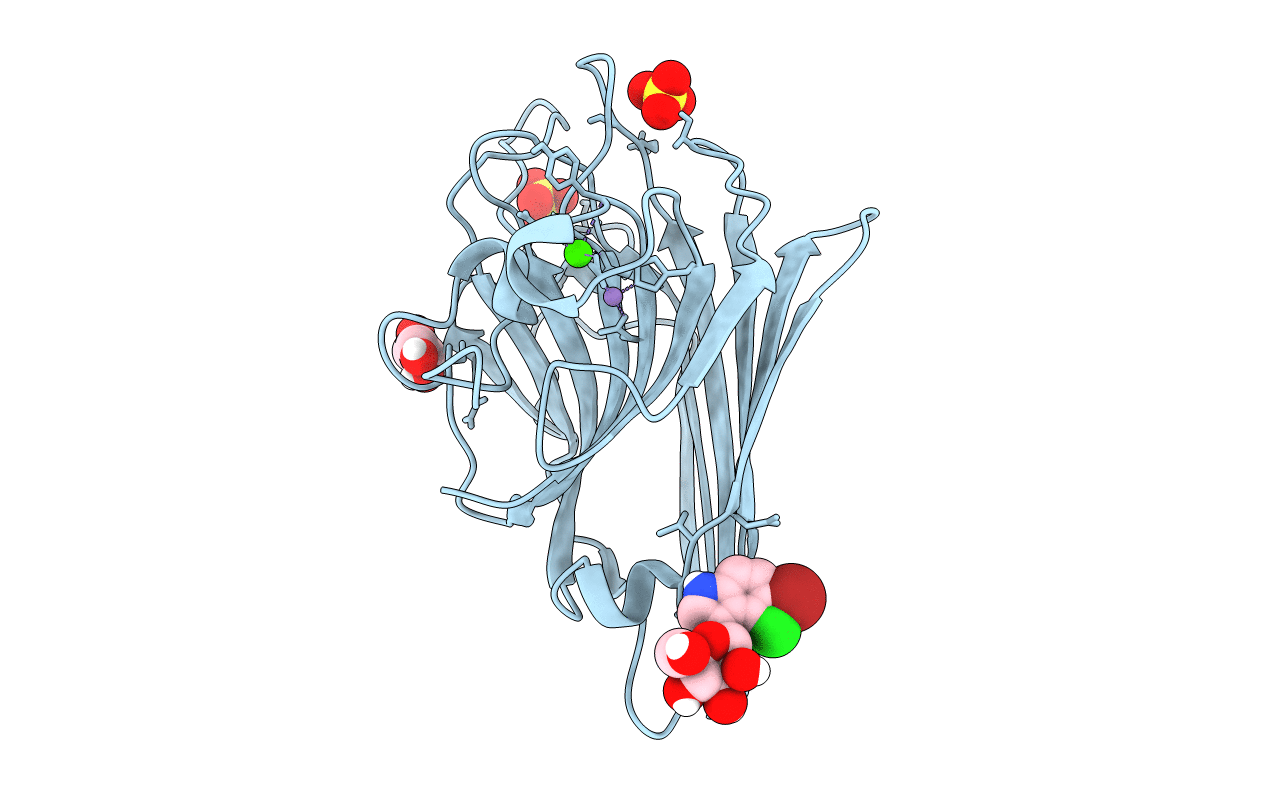 4Z8B image