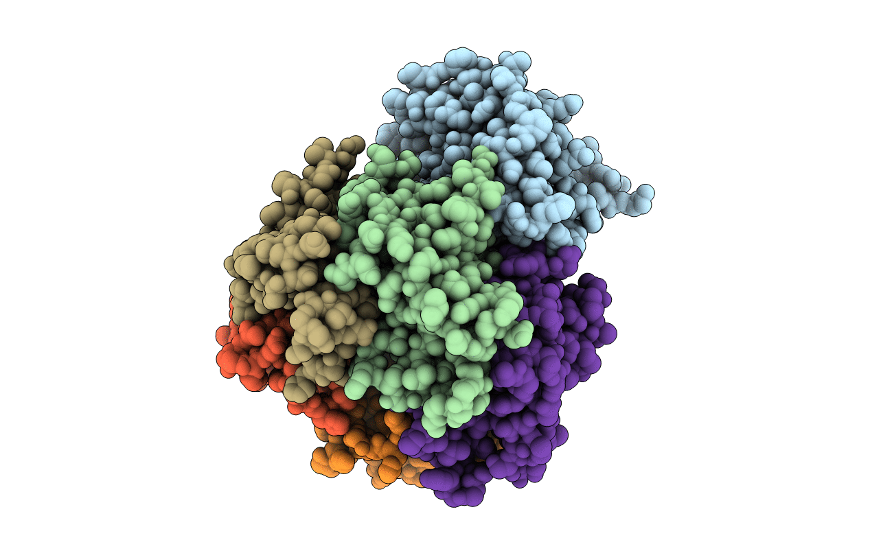 4Z9C image