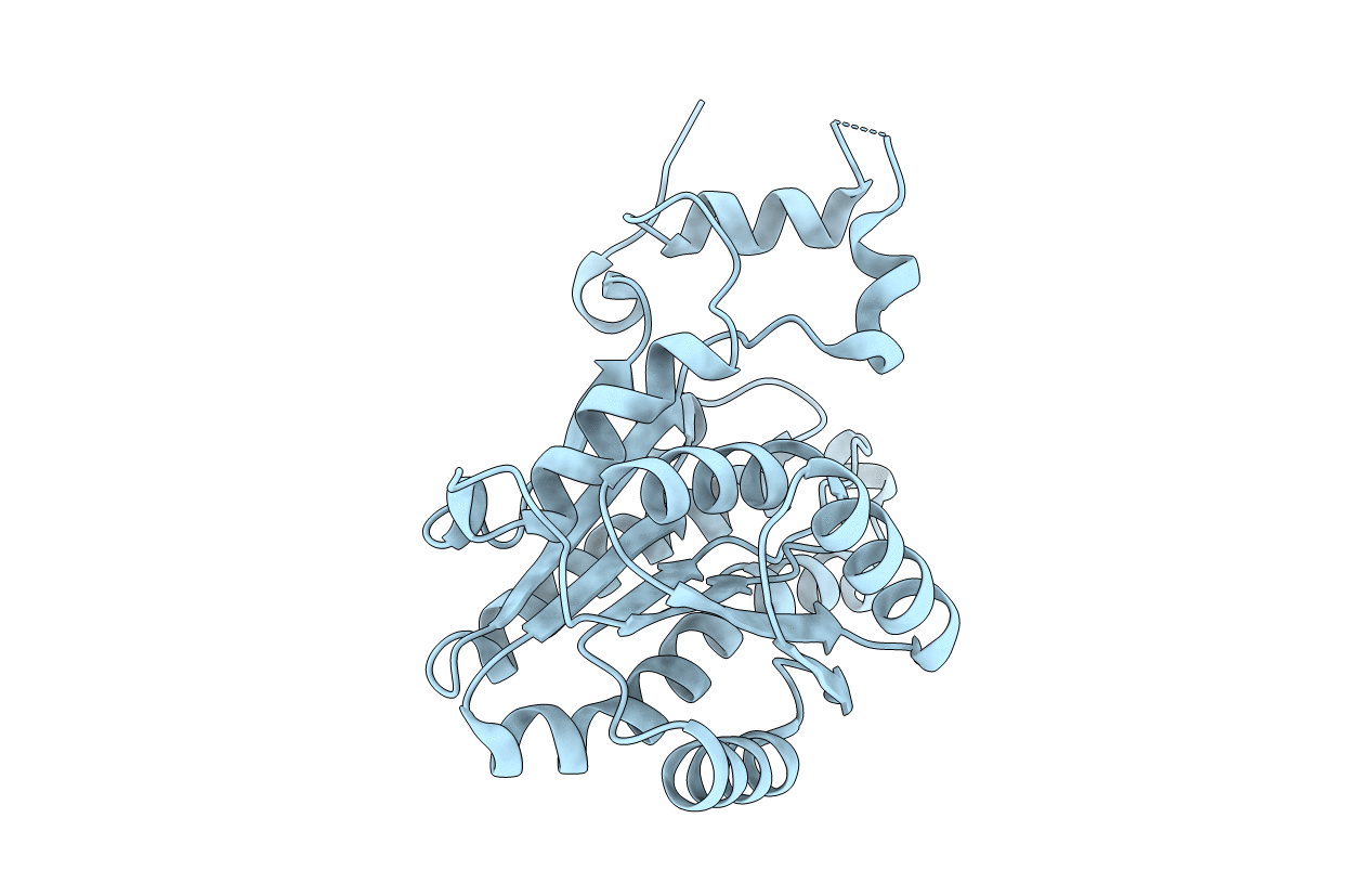 4Z9X image