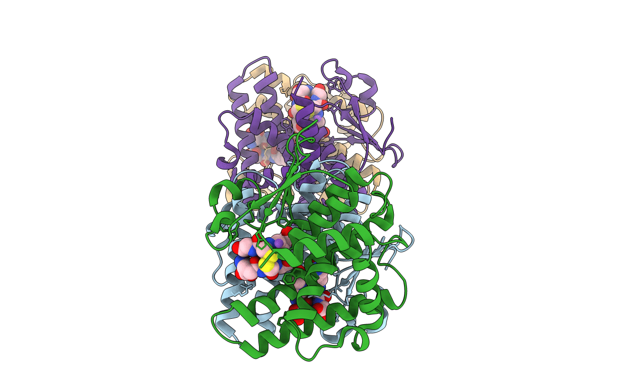 4ZB6 image