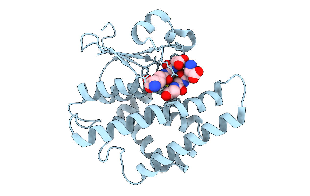 4ZB8 image