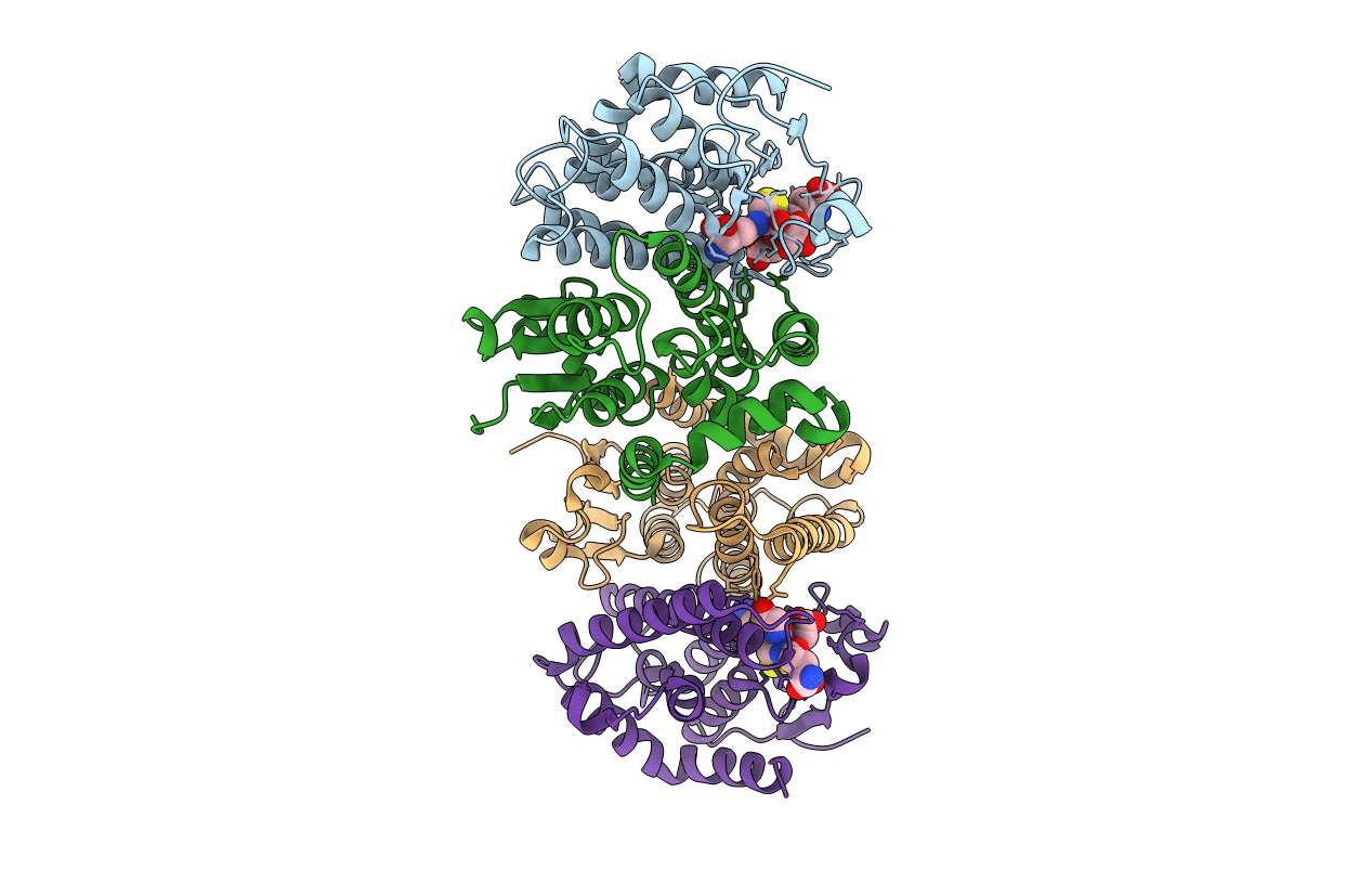 4ZB9 image