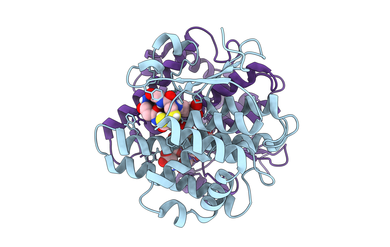 4ZBD image