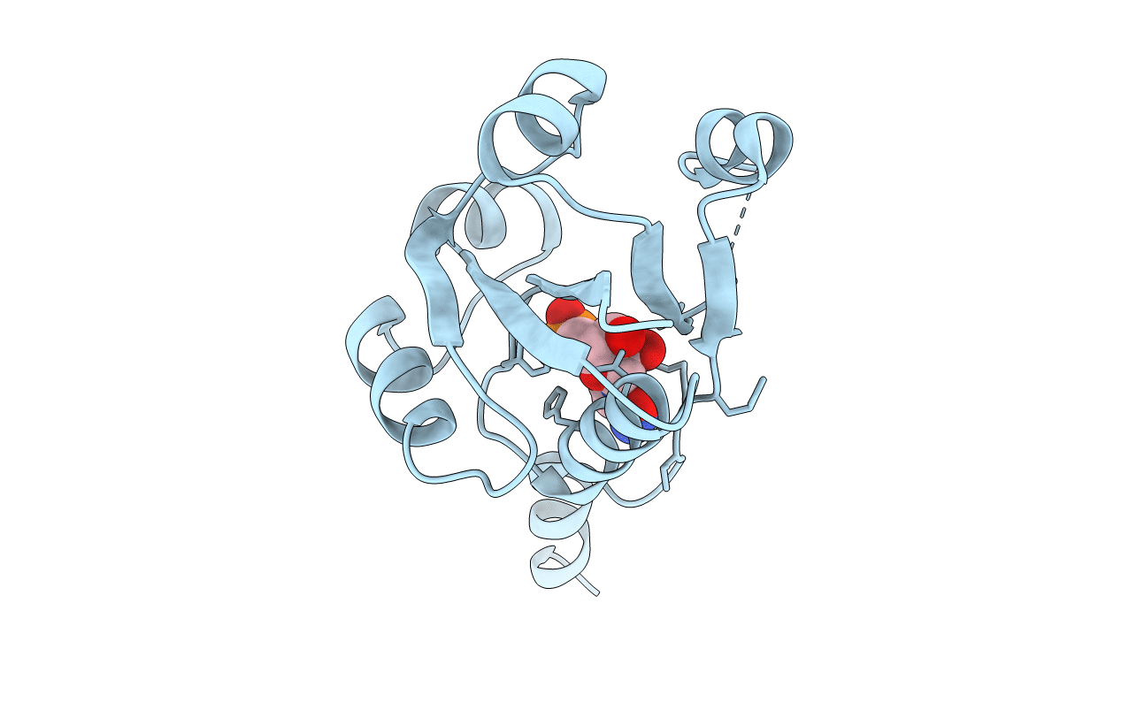 4ZCP image