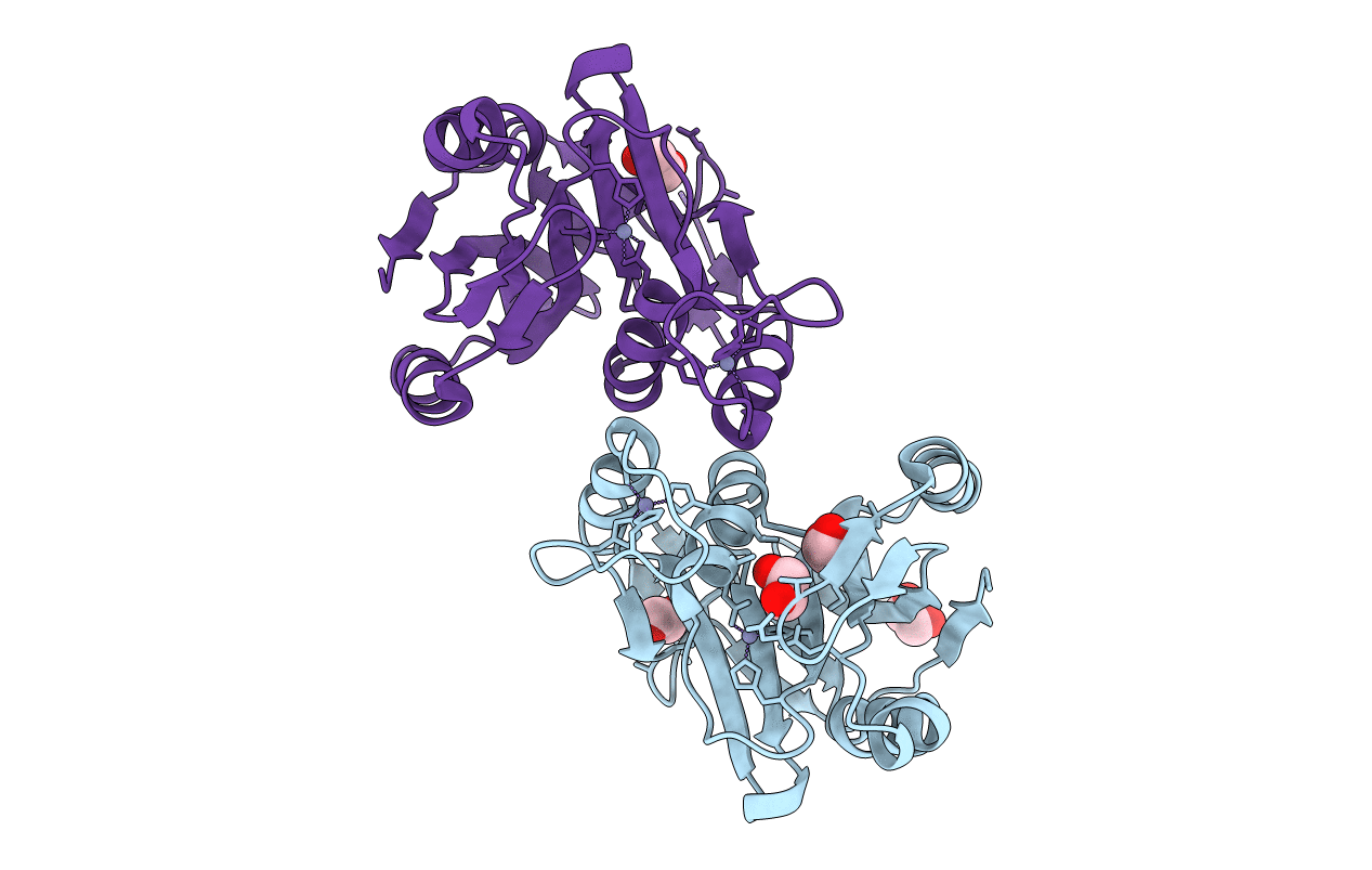 4ZD5 image
