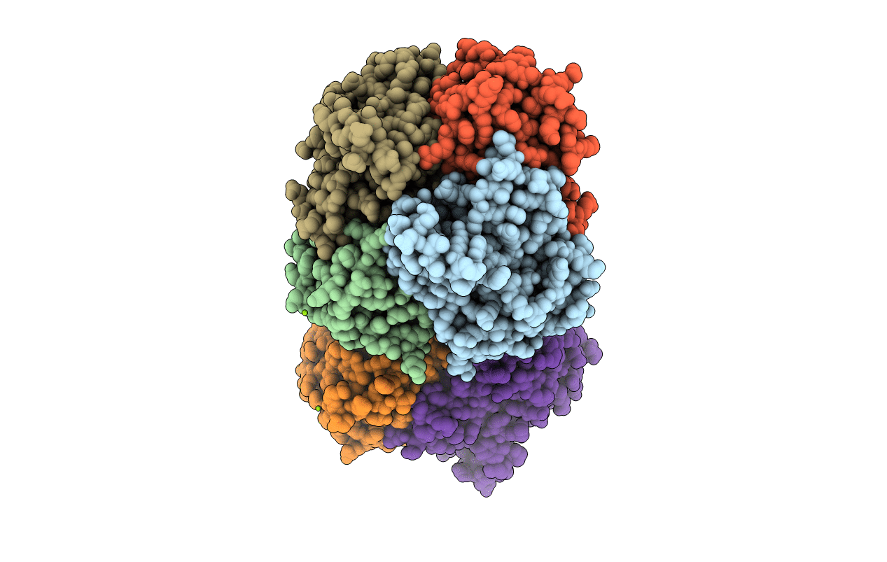4ZD6 image