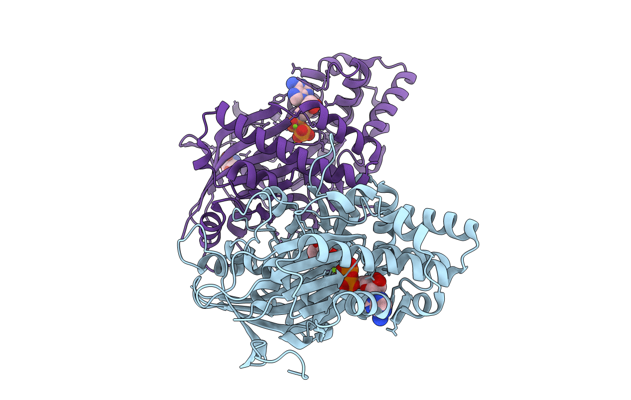 4ZFV image