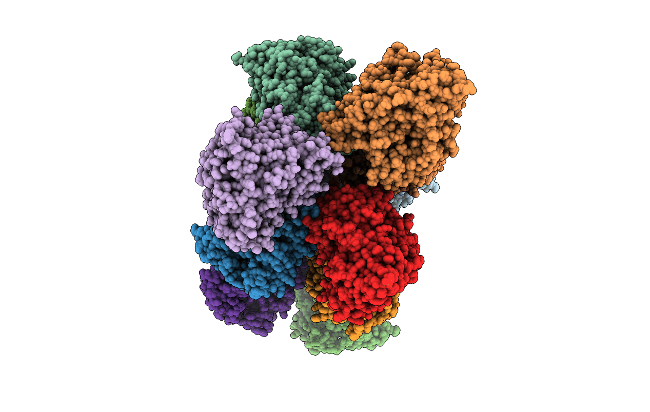 4ZGX image