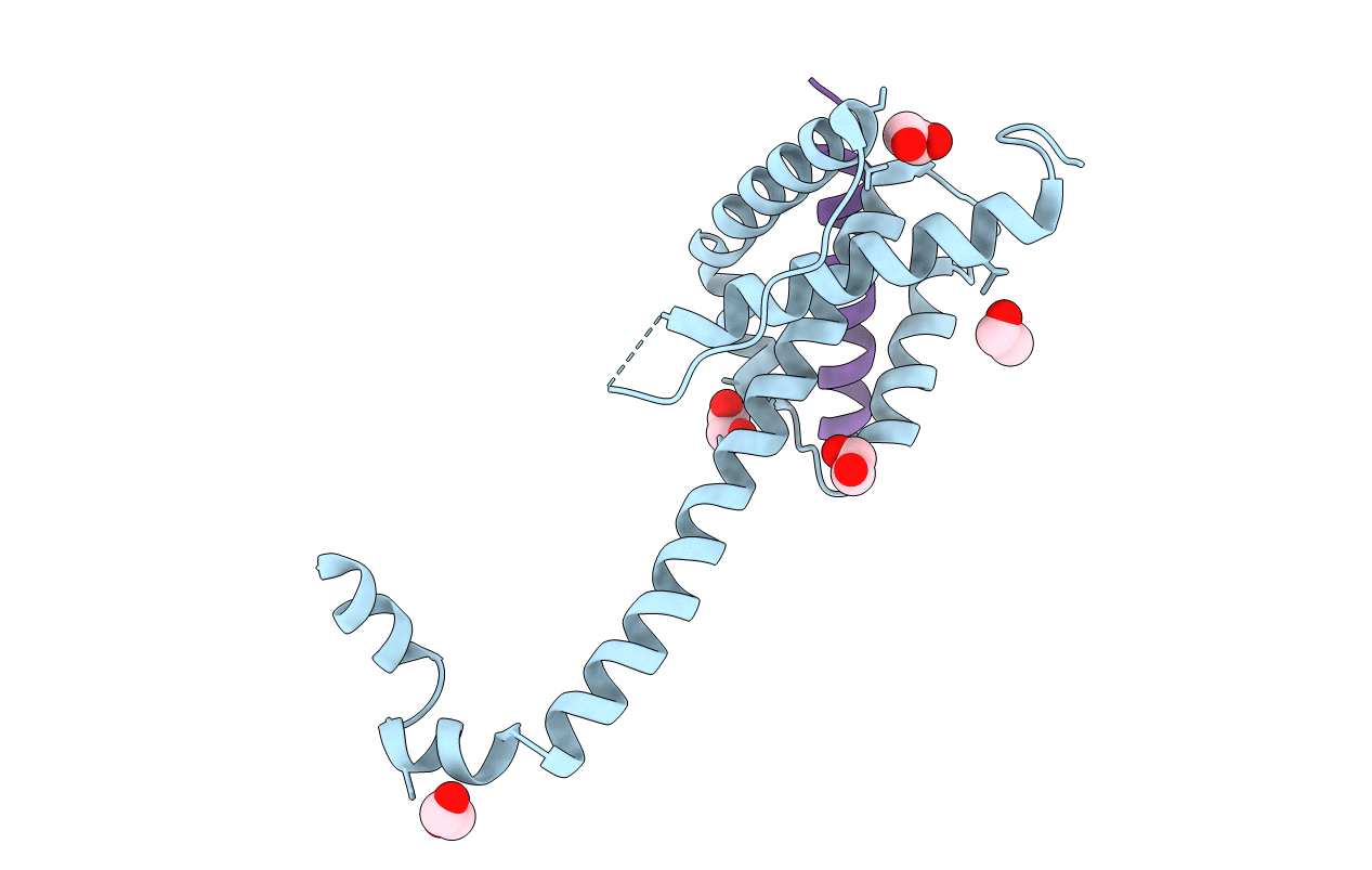 4ZII image