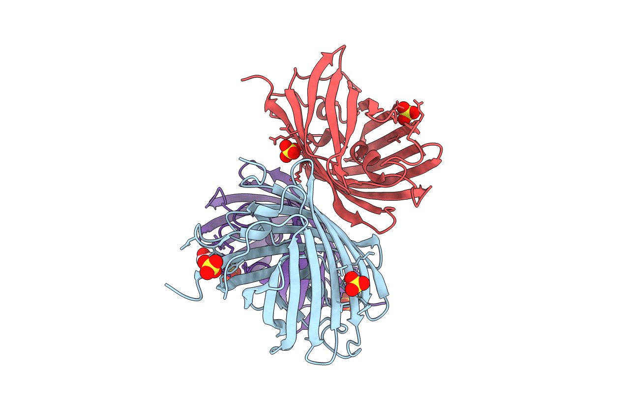 4ZIN image