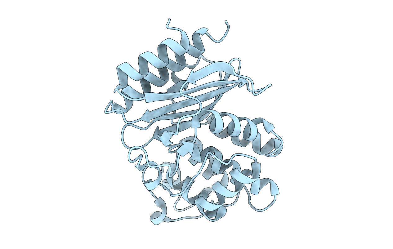 4ZJ2 image