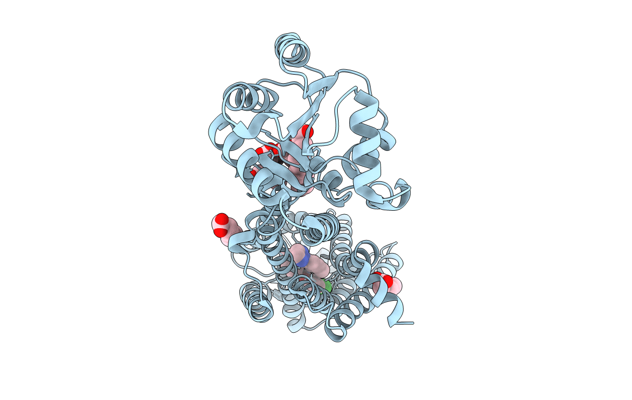 4ZJ8 image