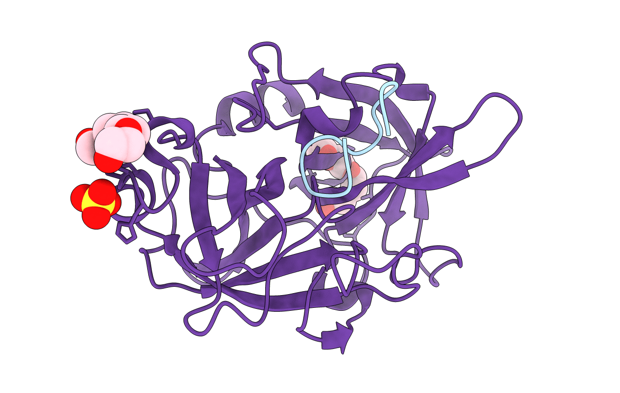 4ZKN image