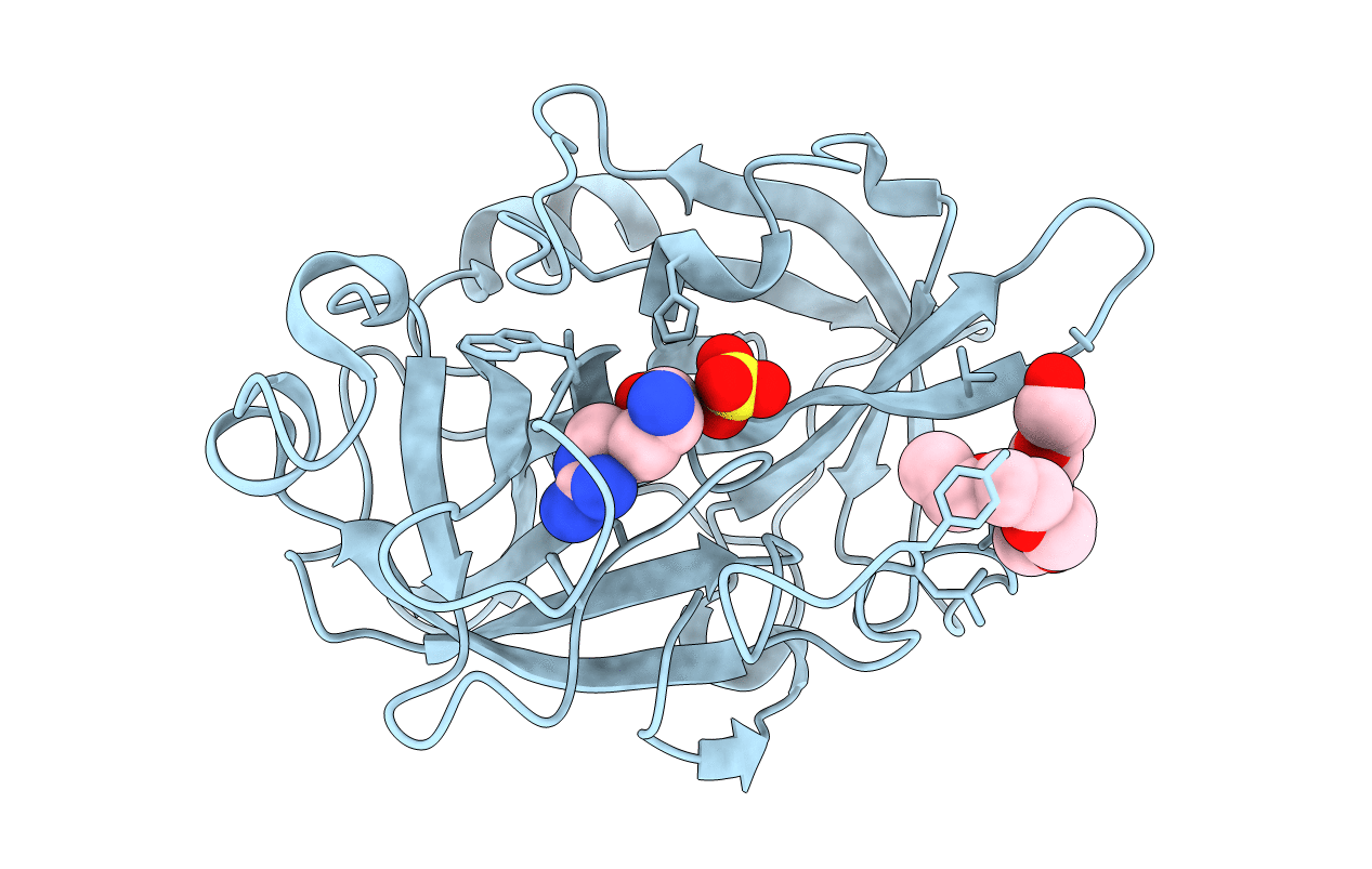 4ZKR image