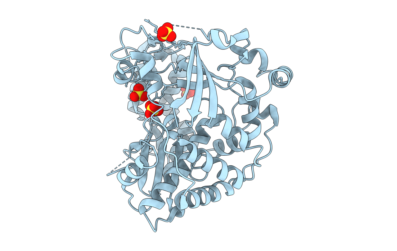 4ZP6 image