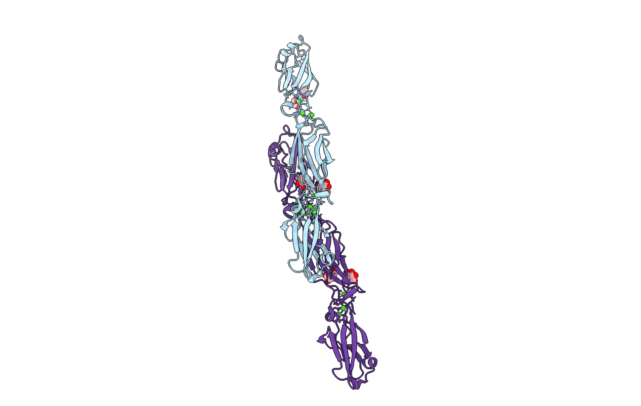4ZPM image