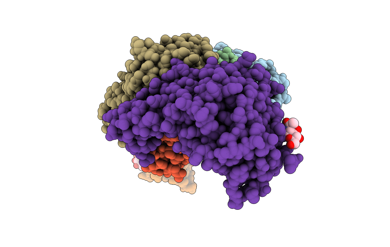 4ZPT image