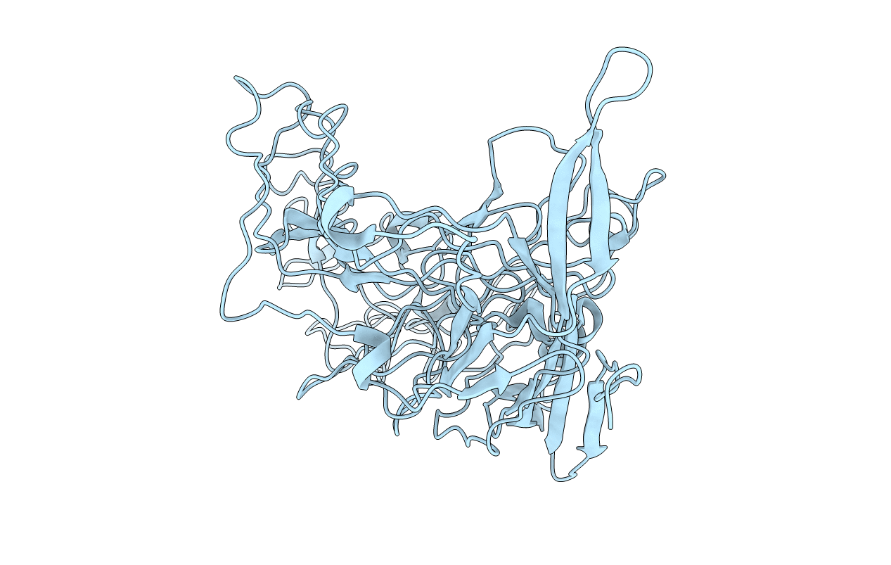 4ZPY image