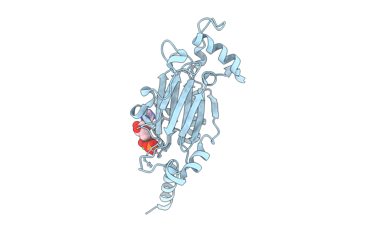 4ZQX image