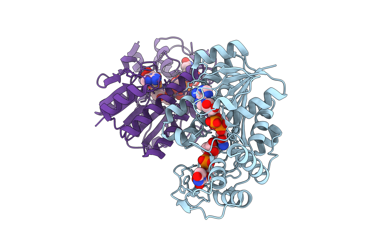 4ZRN image