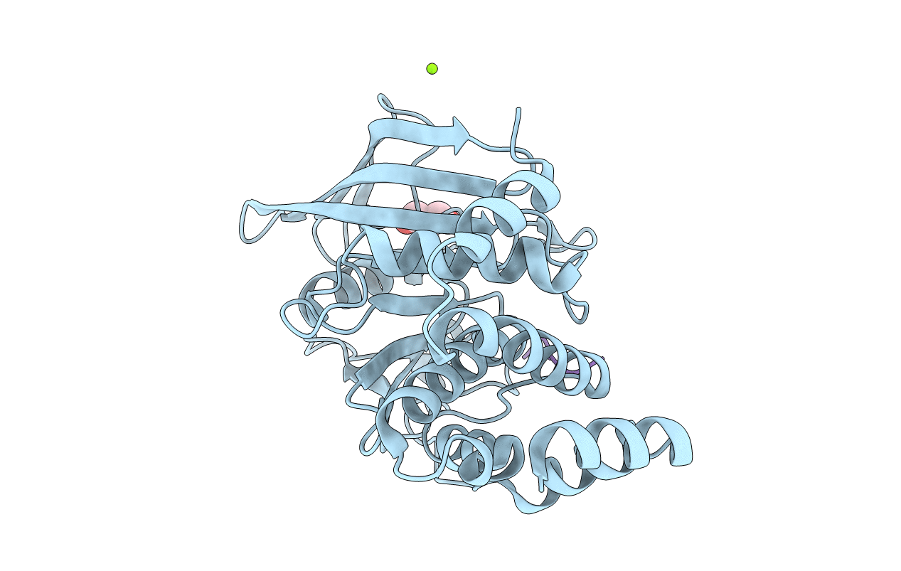 4ZRT image