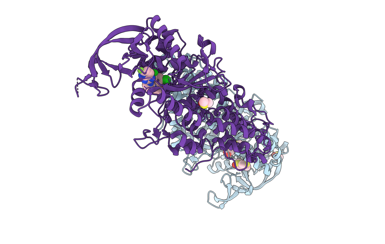 4ZT6 image
