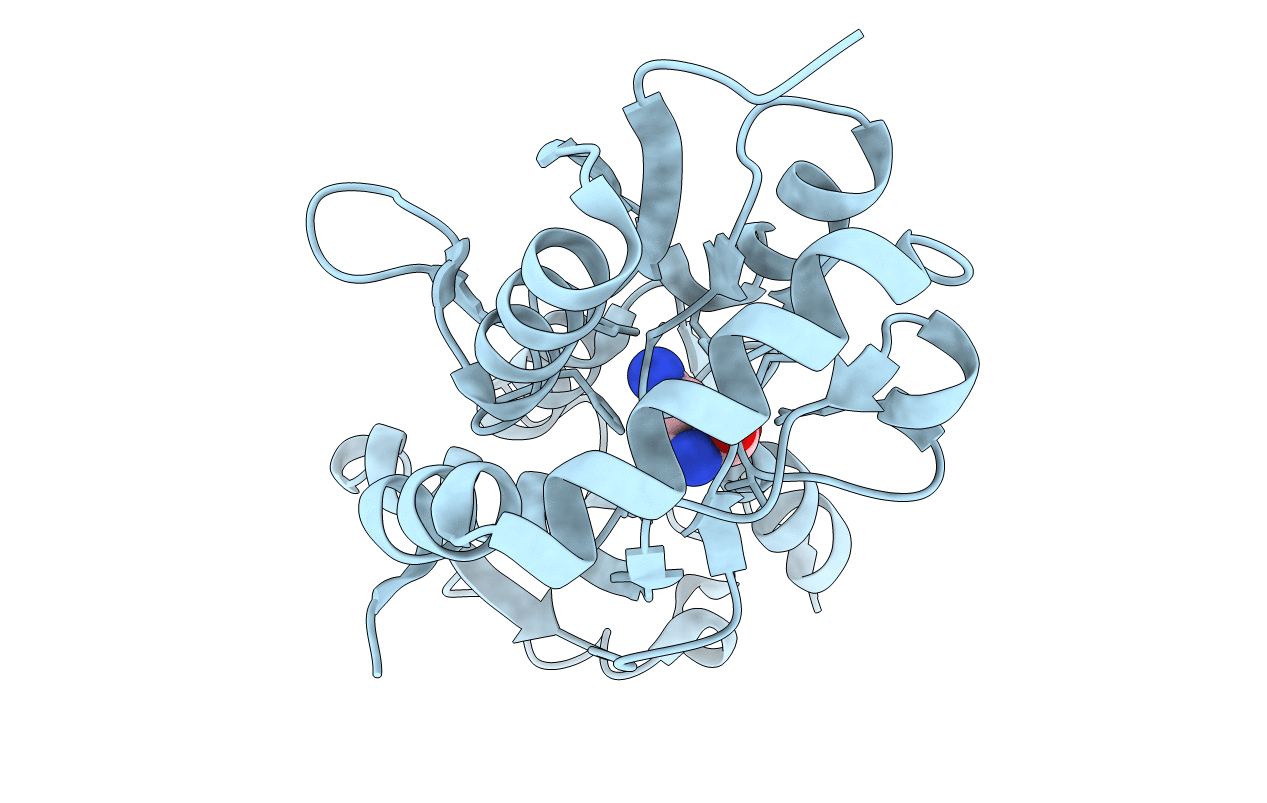 4ZV2 image
