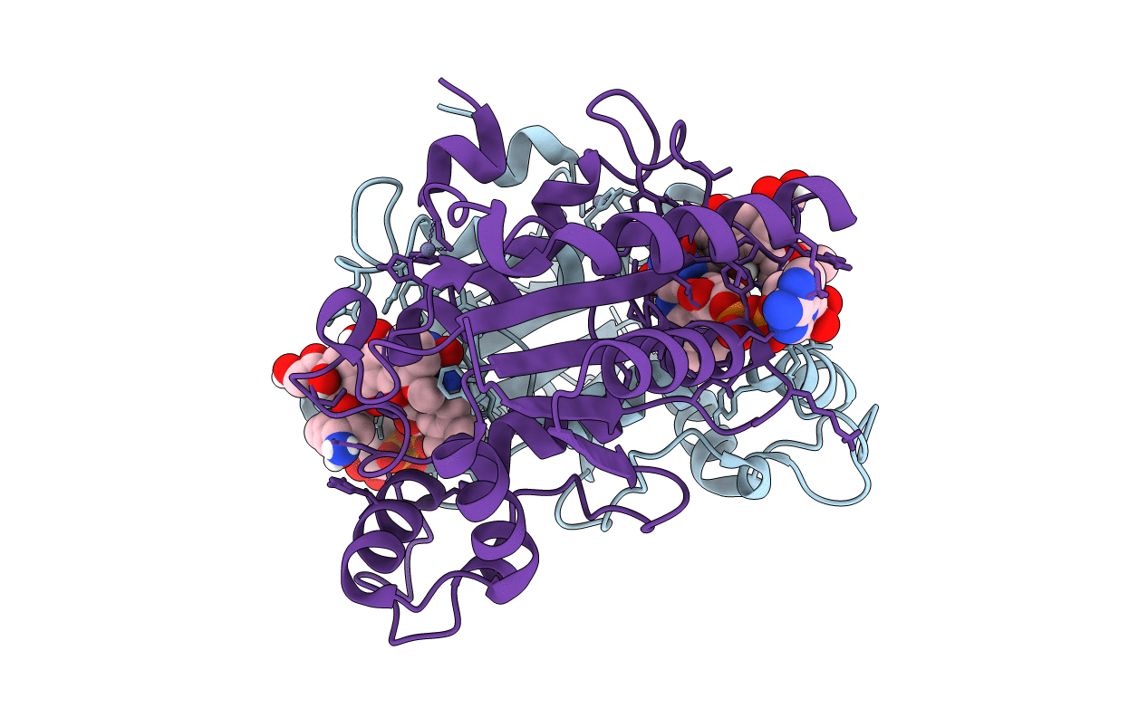4ZVM image
