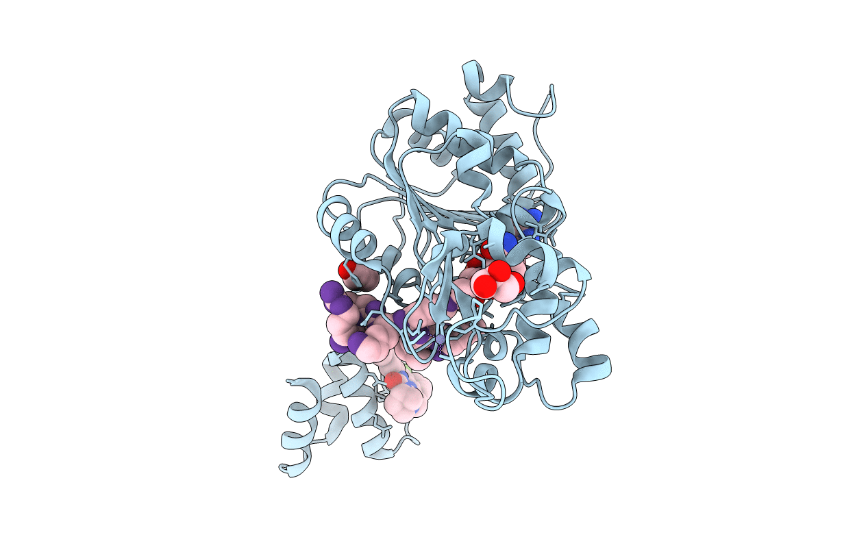 4ZZJ image