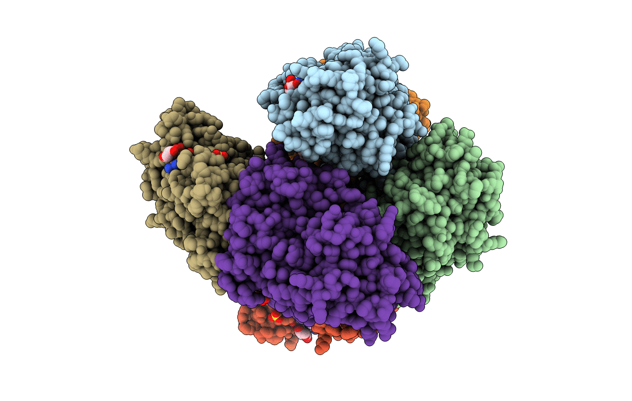 5A03 image