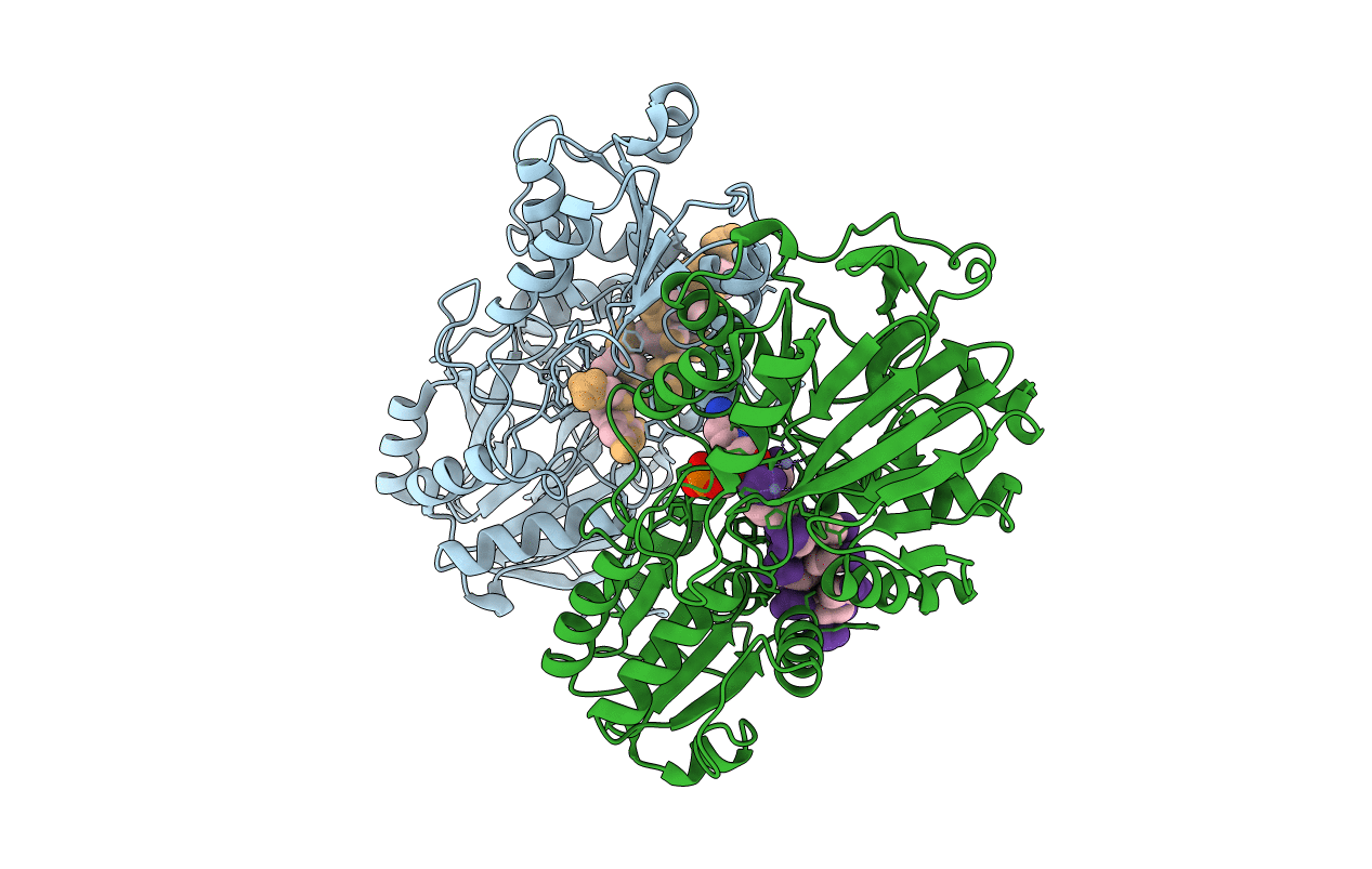 5A0V image