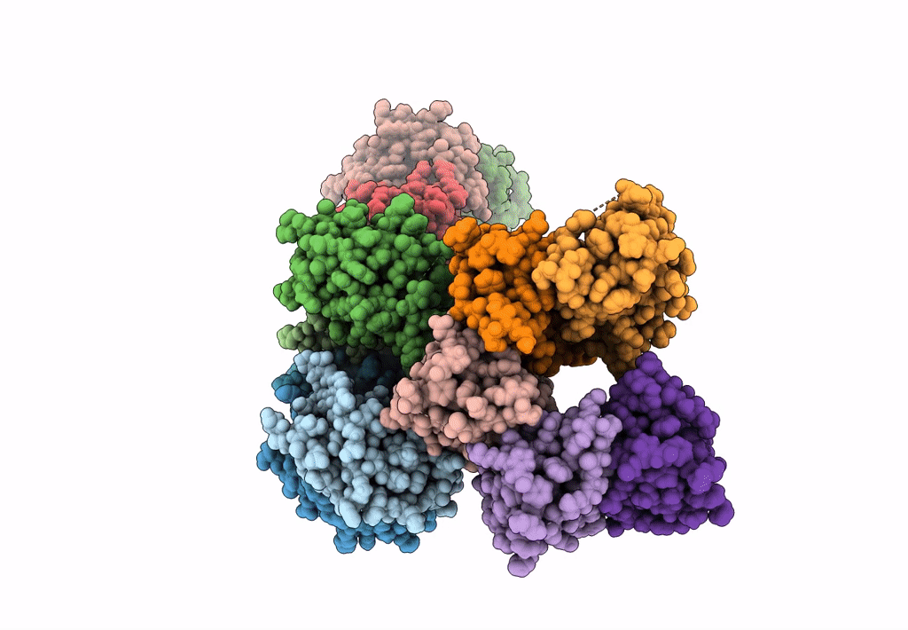 5A15 image