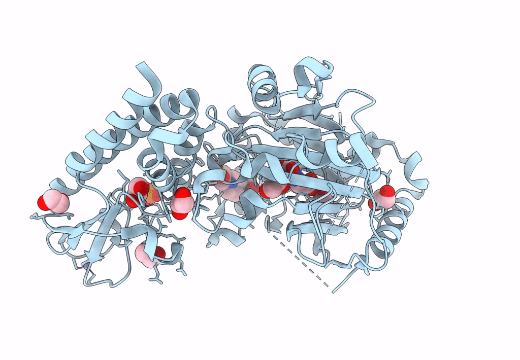 5A1F image