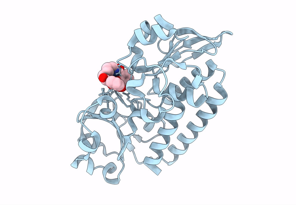 5A1J image