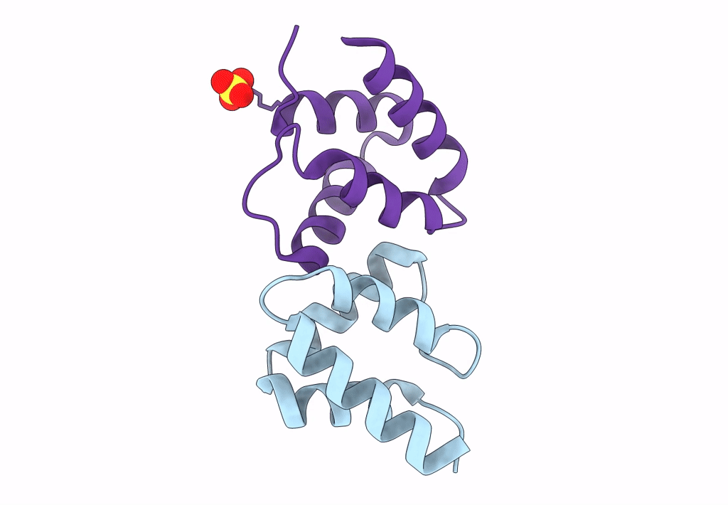 5A1Q image