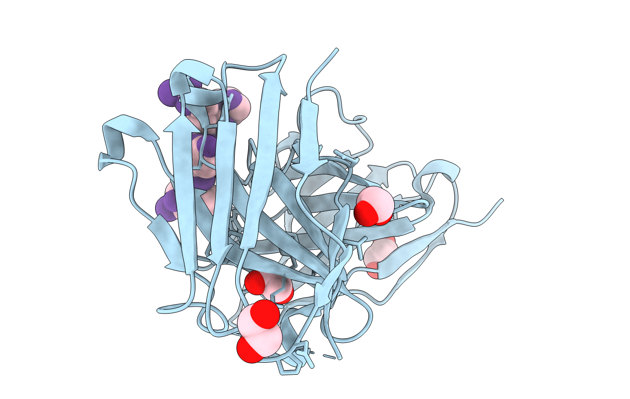 5A2J image