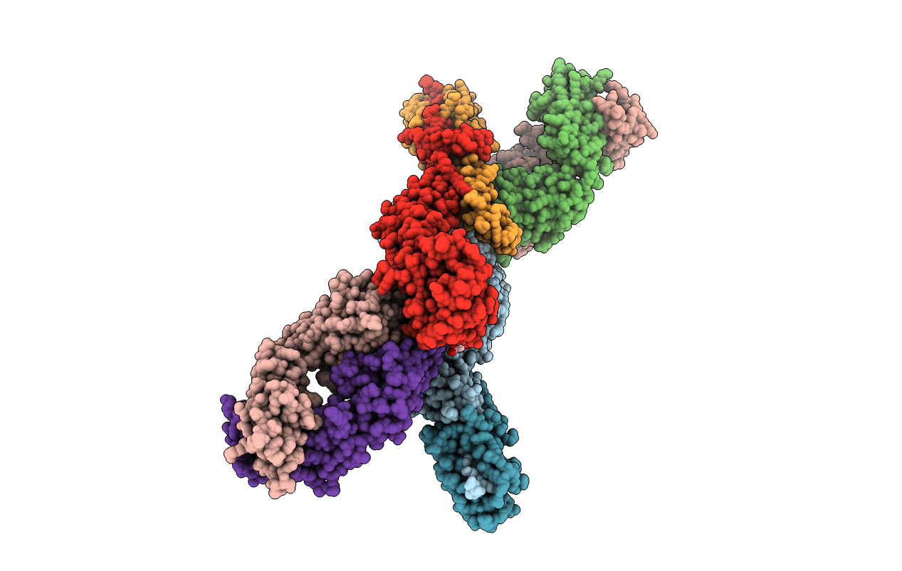5A3I image